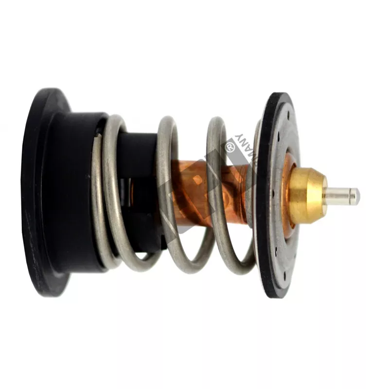 Thermostat, liqiuide de refroidissement HEPU TM1212