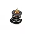 Thermostat, liqiuide de refroidissement HEPU TM1242 - Visuel 1