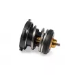 Thermostat, liqiuide de refroidissement HEPU TM1246 - Visuel 2