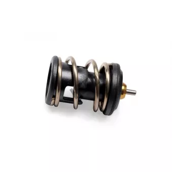 Thermostat, liqiuide de refroidissement HEPU TM1247