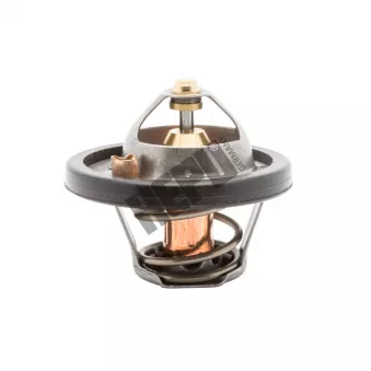 Thermostat, liqiuide de refroidissement HEPU TM1262