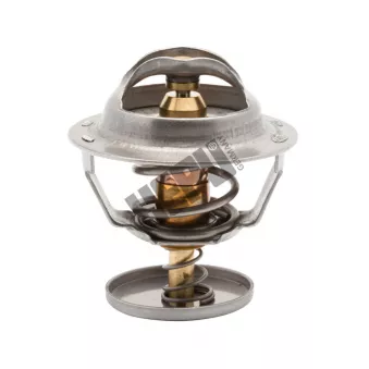 Thermostat, liqiuide de refroidissement HEPU TM1263