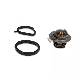 Thermostat, liqiuide de refroidissement HEPU TM1267