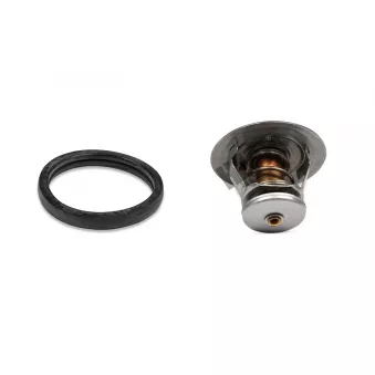 Thermostat, liqiuide de refroidissement HEPU TM1269