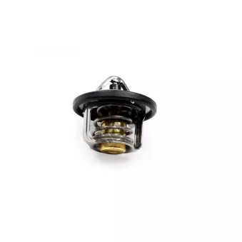 Thermostat, liqiuide de refroidissement HEPU TM1270