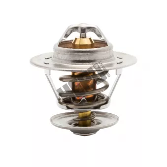 Thermostat, liqiuide de refroidissement HEPU TM1274