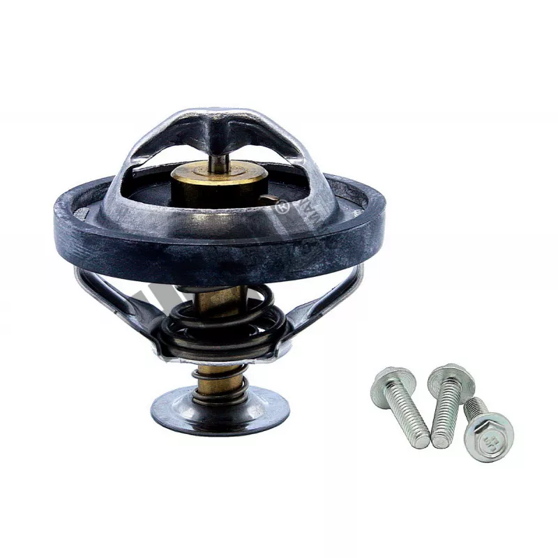Thermostat, liqiuide de refroidissement HEPU TM1275