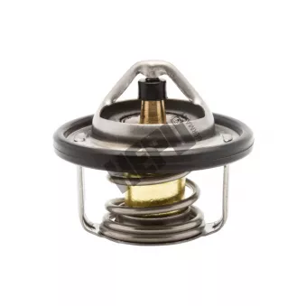 Thermostat, liqiuide de refroidissement HEPU TM1276