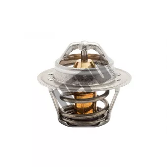 Thermostat, liqiuide de refroidissement HEPU TM1278