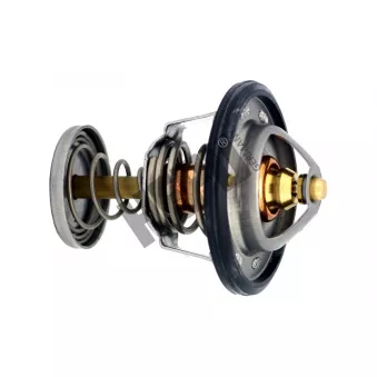 Thermostat, liqiuide de refroidissement HEPU TM1280