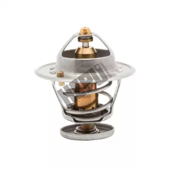 Thermostat, liqiuide de refroidissement HEPU TM1288