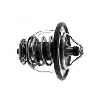Thermostat, liqiuide de refroidissement HEPU TM1289