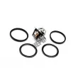 Thermostat, liqiuide de refroidissement HEPU TM1291 - Visuel 1