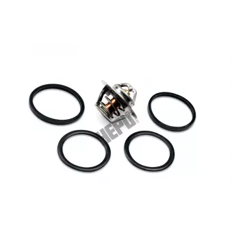 Thermostat, liqiuide de refroidissement HEPU TM1291