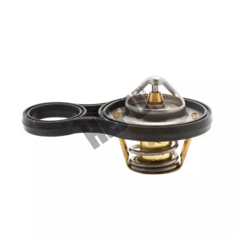 Thermostat, liqiuide de refroidissement HEPU TM1293