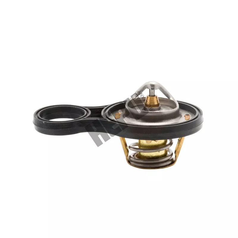 Thermostat, liqiuide de refroidissement HEPU TM1293