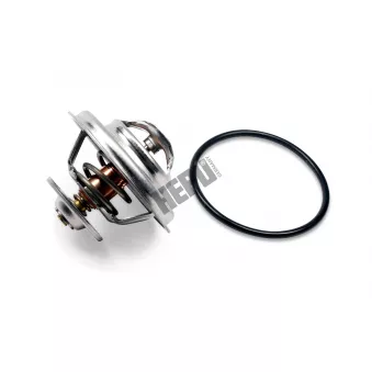 Thermostat, liqiuide de refroidissement HEPU TM1298