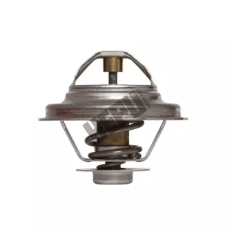 Thermostat, liqiuide de refroidissement HEPU TM1301