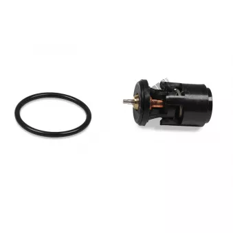 Thermostat, liqiuide de refroidissement HEPU TM1302