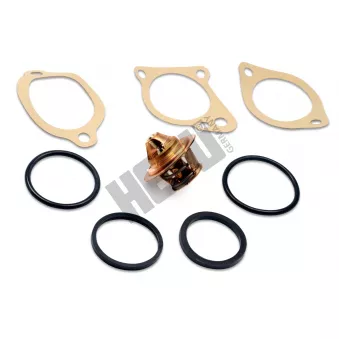 Thermostat, liqiuide de refroidissement HEPU TM1304