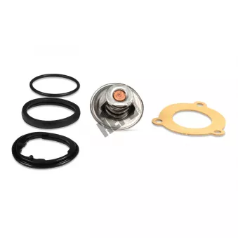 Thermostat, liqiuide de refroidissement HEPU TM1306