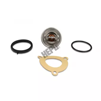 Thermostat, liqiuide de refroidissement HEPU TM1307