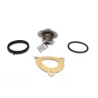 Thermostat, liqiuide de refroidissement HEPU TM1307 - Visuel 2