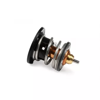 Thermostat, liqiuide de refroidissement HEPU TM1308