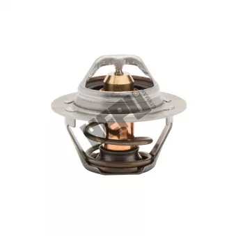 Thermostat, liqiuide de refroidissement HEPU TM1320
