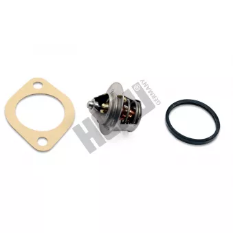 Thermostat, liqiuide de refroidissement HEPU TM1321