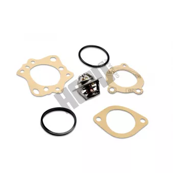 Thermostat, liqiuide de refroidissement HEPU TM1323