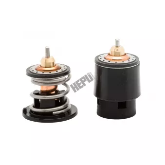 Thermostat, liqiuide de refroidissement HEPU TM1369