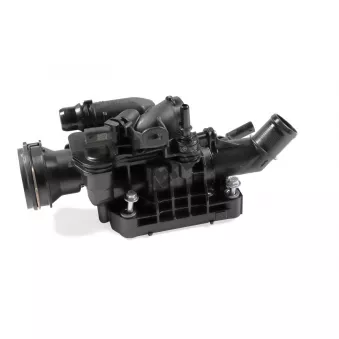 Thermostat d'eau HEPU TM1406