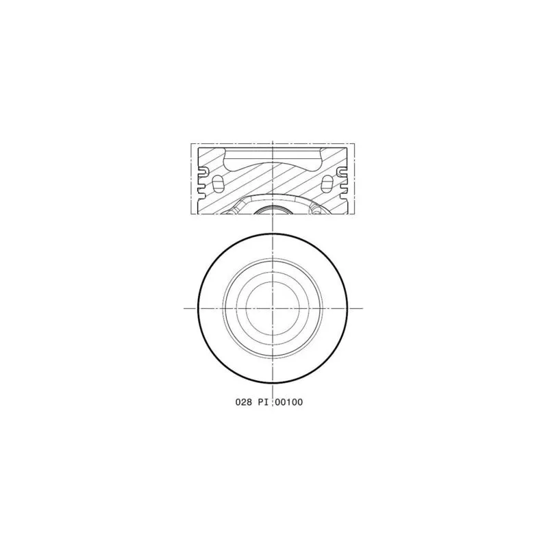 Piston MAHLE 028 PI 00100 000