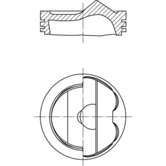 Piston MAHLE 028 PI 00124 000