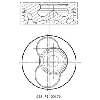 Piston MAHLE 028 PI 00170 001