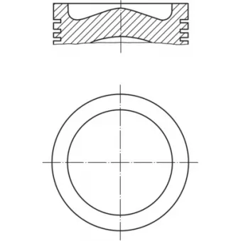Piston MAHLE 039 PI 00125 002