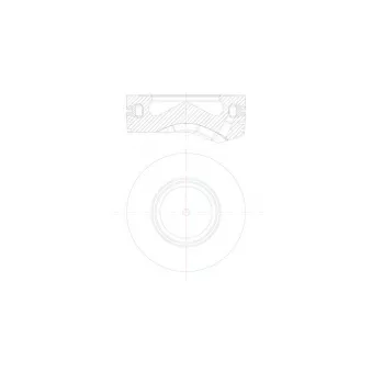 Piston MAHLE 081 PI 00105 001