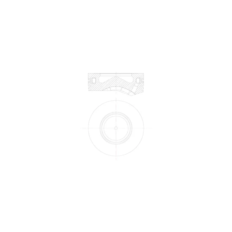Piston MAHLE 081 PI 00105 001