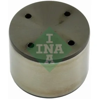 Pilon, Pompe à haute pression INA 711 0308 10