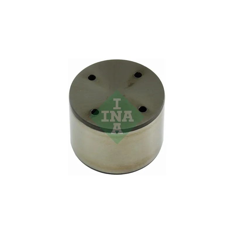 Pilon, Pompe à haute pression INA 711 0308 10