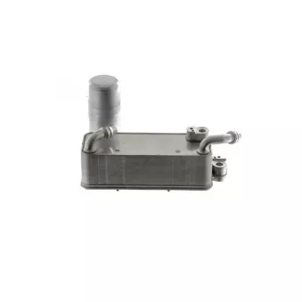 Condenseur, climatisation MAHLE AC 1125 000P