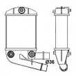 Intercooler, échangeur NRF 30167 - Visuel 1
