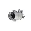Compresseur, climatisation MAHLE ACP 1 002P - Visuel 3