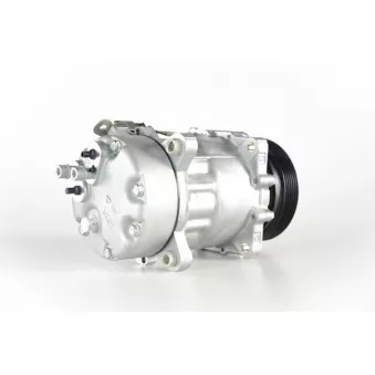 Compresseur, climatisation MAHLE ACP 1031 000P