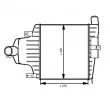 Intercooler, échangeur NRF 30541 - Visuel 1