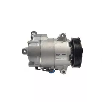 Compresseur, climatisation MAHLE ACP 138 000P