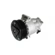 Compresseur, climatisation MAHLE ACP 163 000S - Visuel 3