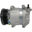 Compresseur, climatisation MAHLE ACP 319 000P - Visuel 3