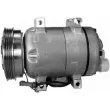 Compresseur, climatisation MAHLE ACP 53 000S - Visuel 3